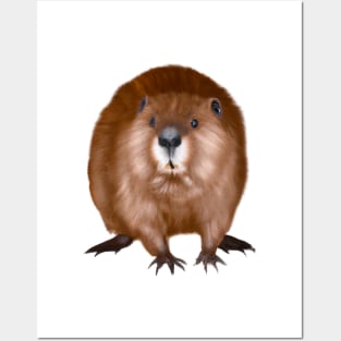 Cute Beaver Drawing Posters and Art